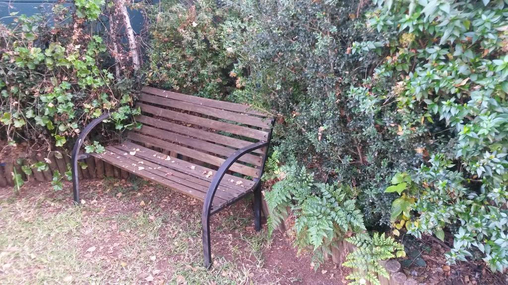 Randburg The Birches Backpacker Lodge المظهر الخارجي الصورة